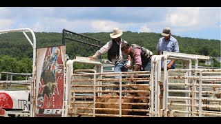 Raising bucking bulls for the rodeo [upl. by Leval]