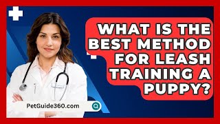 What Is the Best Method for Leash Training a Puppy  PetGuide360com [upl. by Nathanael926]