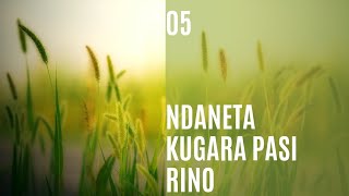 FIRM FAITH MUSIC NDANETA KUGARA PASI RINO Lyric Video [upl. by Remat917]