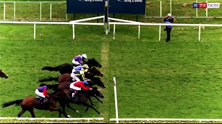 COOLEST RACEHORSE FOOTAGE [upl. by Enelyt]