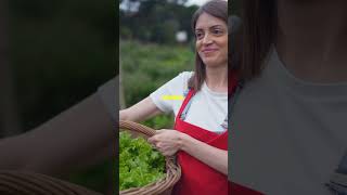 We Tried Backyard SelfSufficiency For A Month [upl. by Ellenar560]