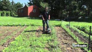 Removing weeds with a MC43 Mini Cultivator [upl. by Aciria]