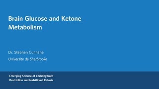 Dr Stephen Cunnane  Brain Glucose and Ketone Metabolism [upl. by Amil]