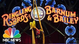 Historic Ringling Bros and Barnum amp Bailey Circus Says Goodbye After 146 Years  NBC News [upl. by Attenej]