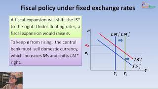 The Mundell Fleming model [upl. by Iz]