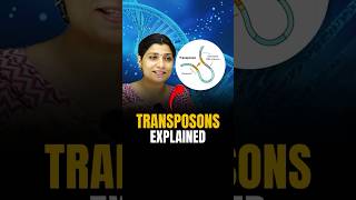 TRANSPOSONS Explained riturattewal neetbiology transposons neet2024 neet [upl. by Riebling244]