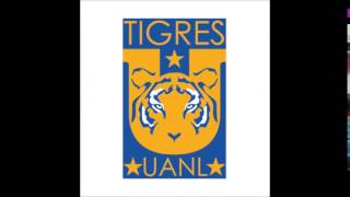 Himno Club de Fútbol Tigres UANL [upl. by Mlehliw]