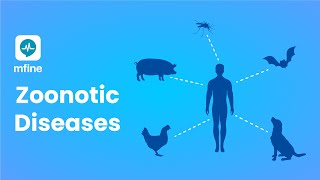 Zoonotic Diseases  Diseases that are Passed from Animals to Humans  MFine [upl. by Ylrebma]