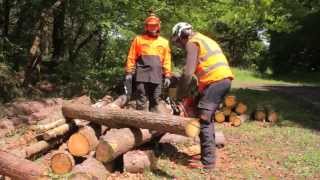 ECC1  Crosscutting timber European Chainsaw Certificate [upl. by Klaus]