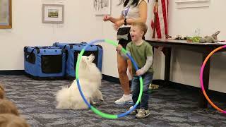 Brielle Library dog tricks show  Olympic moment [upl. by Lorac]