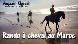 HD  Rando à cheval au Maroc de 4 jours  Amazir Cheval  octobre 2015 Essaouira  horse trekking [upl. by Saiasi]