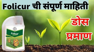 फॉलीक्युअर बुरशीनाशक  folicur fungicide details [upl. by Yrrehs]