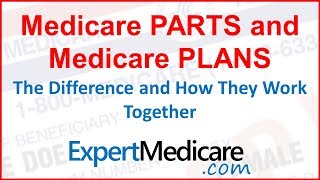 How Medicare Works  The Parts and Plans of Medicare  IntegritySeniorcom [upl. by Mulligan581]