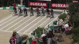 20140525 Bmx Région Provence CORNILLON Cruiser vétéran  Finale [upl. by Netsua]