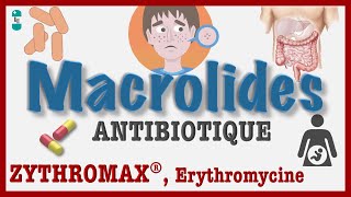 Les Macrolides  TOUT Savoir  Pharmacologie Antibiotiques Clarythromycine ZYTHROMAX [upl. by Holbrooke]