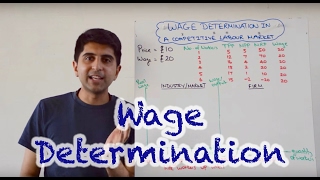 Wage Determination in a Perfectly Competitive Labour Market [upl. by Hsevahb]