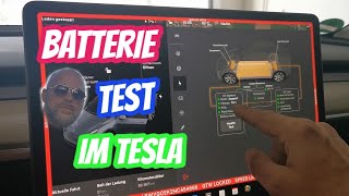 Hochvoltbatterie auslesen im Tesla [upl. by Eisler]