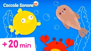 💧La canzone dellAcqua💧  altre canzoni per bambini  Coccole Sonore [upl. by Socha]