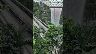 The Jewel  Changi airport from Level II singapore airport changiairport [upl. by Nieberg]