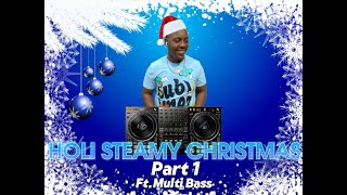 Holi Steamy Christmas MIx Part 1 BY Multi Bass [upl. by Nydroj]