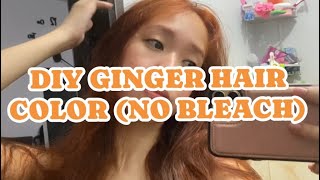 How to Achieve an Easy Ginger Hair Color A DIY Guide  Stephyannie [upl. by Ariaz985]