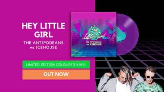 The Antipodeans vs ICEHOUSE quotHey Little Girlquot Vinyl Release OUT NOW [upl. by Eimak]