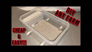 CHEAP And EASY Ant Farm  DIY Ant Formicarium  StepByStep Homemade Ant Nest [upl. by Airual410]