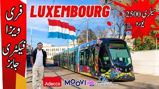 Luxembourg Country Work Visa  Luxembourg Skilled amp Unskilled Jobs 2024  Urgent Hiring work [upl. by Flossie993]