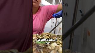 This Woman saves a Sea Turtle from Barnacles seaturtles animals seaturtlelove shorts [upl. by Kcirneh318]