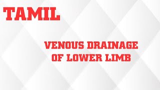 VENOUS DRAINAGE OF LOWER LIMB IN TAMIL [upl. by Nazario]