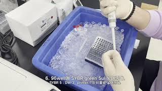 Real Time PCR qPCR [upl. by Hirz]