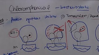 Chloramphenicol [upl. by Augusto962]