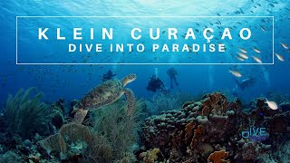 Klein Curacao Dive Site  Curacao Dive Guide  Dive Travel Curacao [upl. by Haduj]