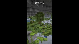 Azalea Tree in Lush Caves  Minecraft Seed [upl. by Jaqitsch]