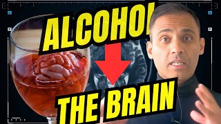 The Neuroscience Behind Alcohol 10 Ways Alcohol Affects Our BRAIN [upl. by Enyawud]