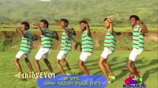 Birhanu Molla Shegawa New Ethiopian Traditional Music 2014 [upl. by Nylirrehs]