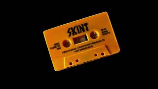 SKINT  DEMONSTRATION TAPE 2024 [upl. by Ogeid902]