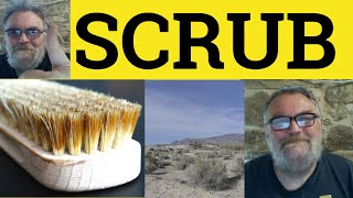 🔵 Scrub Meaning  Scrubs Examples  Scrub Up Defined  GRE Vocabulary  Scrub [upl. by Niran]