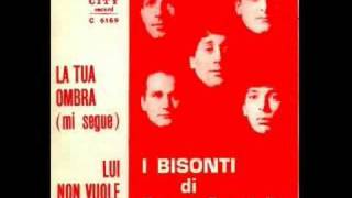 I Bisonti di Bruno Castiglia  La tua ombra mi segue 1967 [upl. by Quincey662]