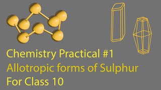 Chemistry Practical 1  Class X  New Book  Allotropic forms of Sulphur  Online SFS [upl. by Arabelle]