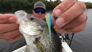 Secrets for Fall Crappie Fishing [upl. by Suivatnad]