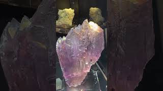 Kunzite CrystalRainbow GemExhibition DenverGemShow Booth69 gemlovers [upl. by Kcolttam289]