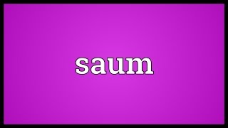 Saum Meaning [upl. by Raseac671]