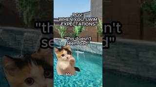 CAT MEMES 🐱 WHEN YOU SWIM relatable cat swimming funny shorts [upl. by Nahor14]