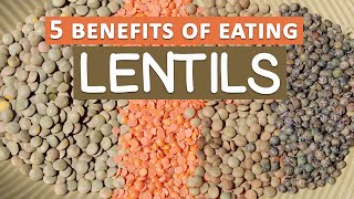 Top 5 Benefits of Eating Lentils [upl. by Enytsirhc]