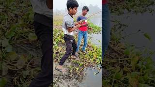 Dil Tham Lo⚡BIG FISH Fallow FOR MORE 💥 fishlover gonefishing fish🙏🙏🙏 [upl. by Edris196]