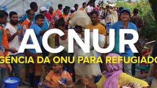 ACNUR a Agência da ONU para Refugiados [upl. by Asirehc283]