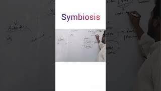 Symbiosisshortvideo [upl. by Bui]