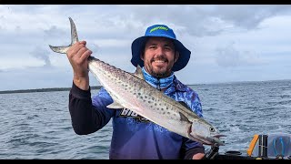 Moreton Bay Spotted Mackerel using paravanes 29th April 2023 barcrusher fishing [upl. by Lapo]