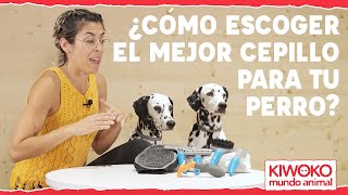 ¿Cómo escoger el mejor cepillo para tu perro✅ [upl. by Hastie]